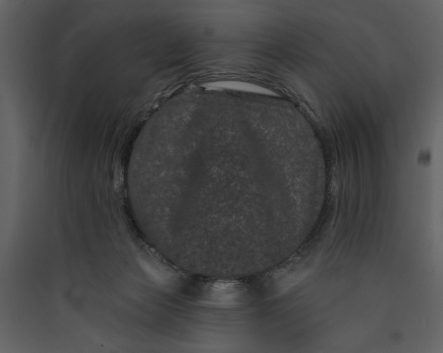X0000089910173200707131357