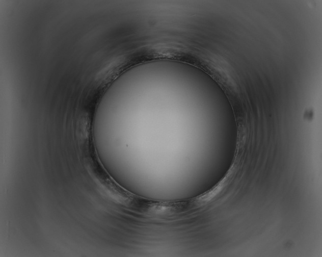 X0000089910174200707131357