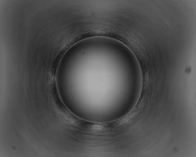 X0000089910176200707131357