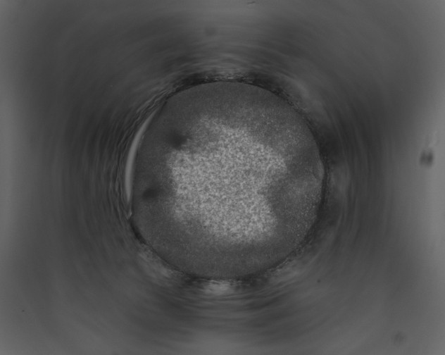 X0000089910177200707131357