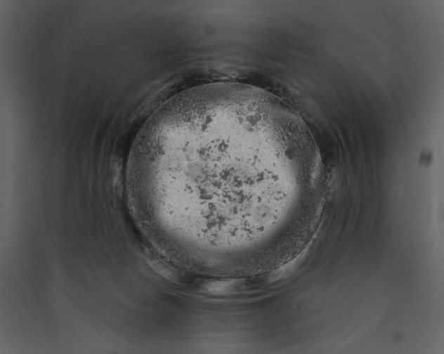 X0000089910178200707131357