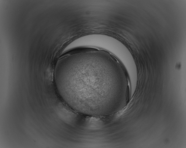 X0000089910180200707131357