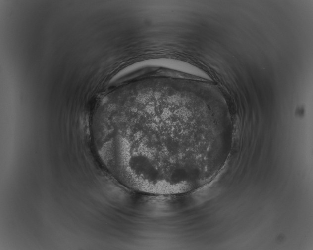 X0000089910182200707131357