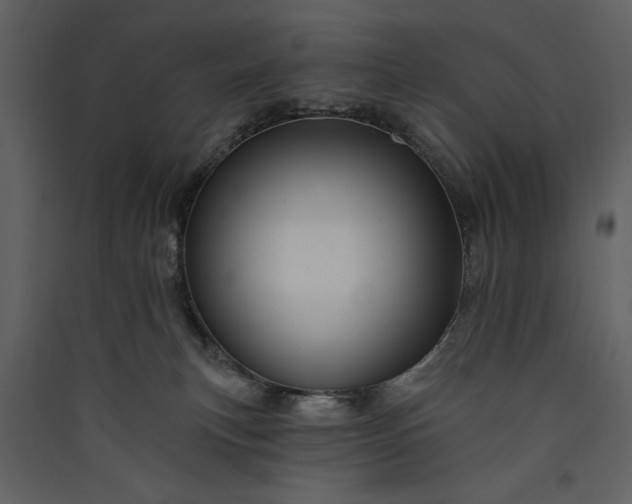 X0000089910183200707131357
