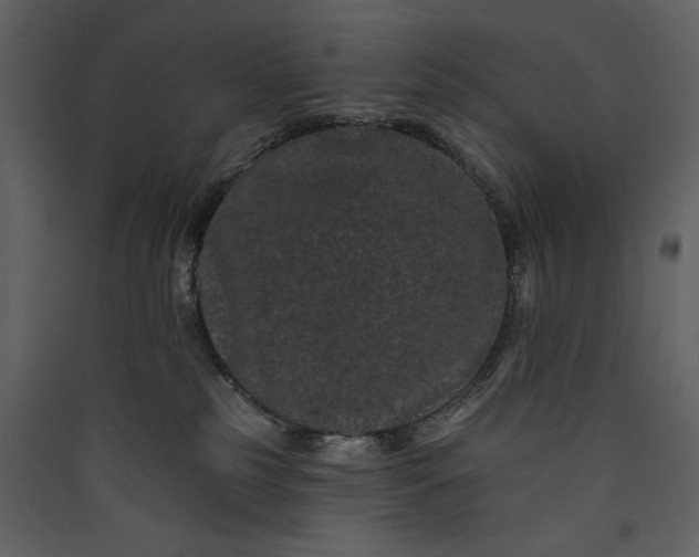 X0000089910185200707131357