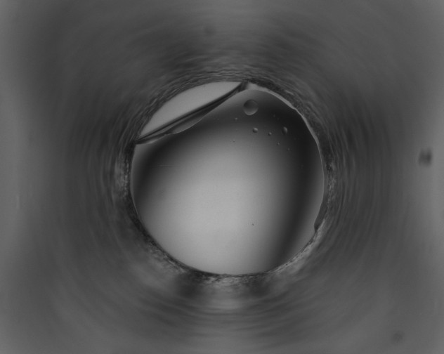 X0000089910186200707131357