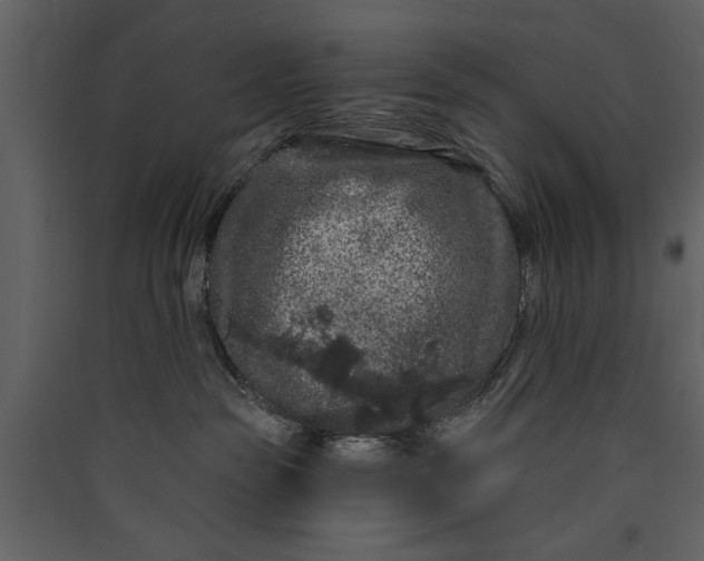 X0000089910189200707131357