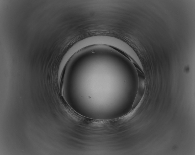 X0000089910190200707131357