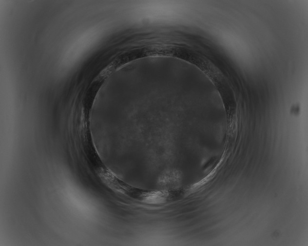 X0000089910191200707131357