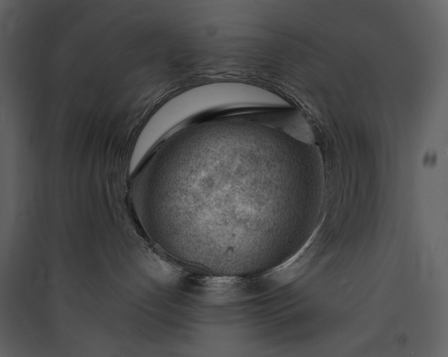 X0000089910192200707131357