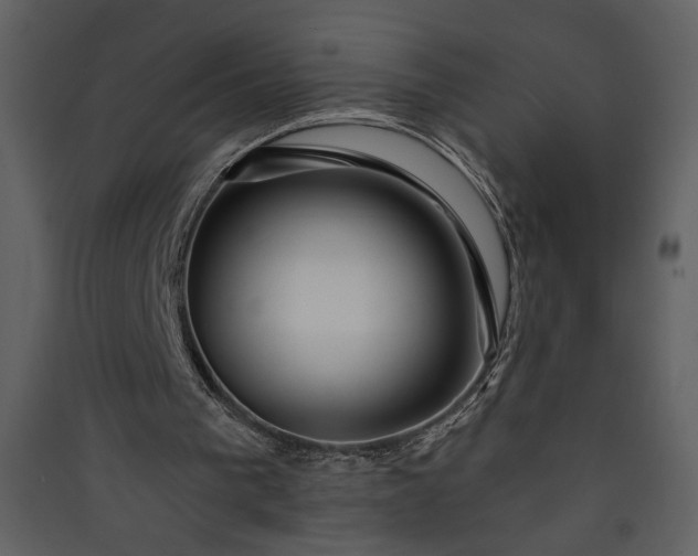 X0000089910193200707131356