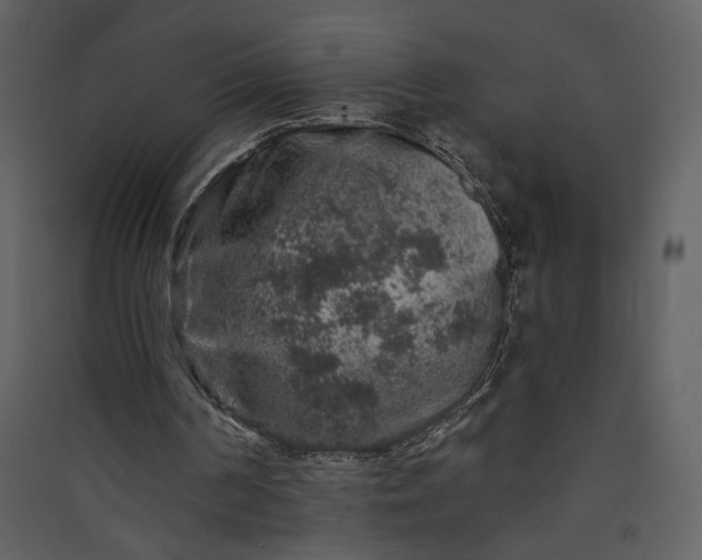 X0000089910194200707131356