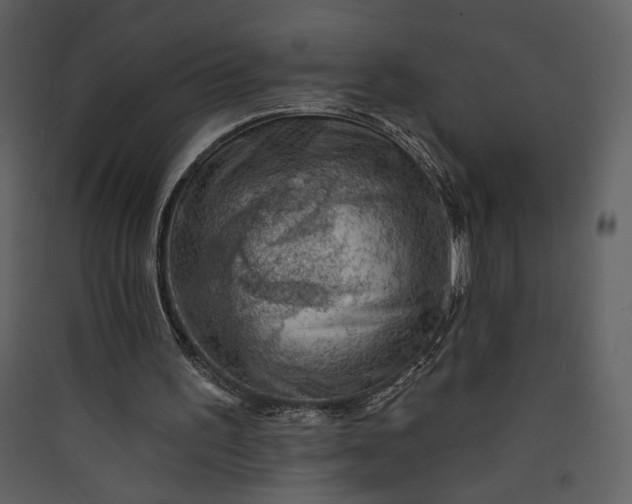 X0000089910195200707131356