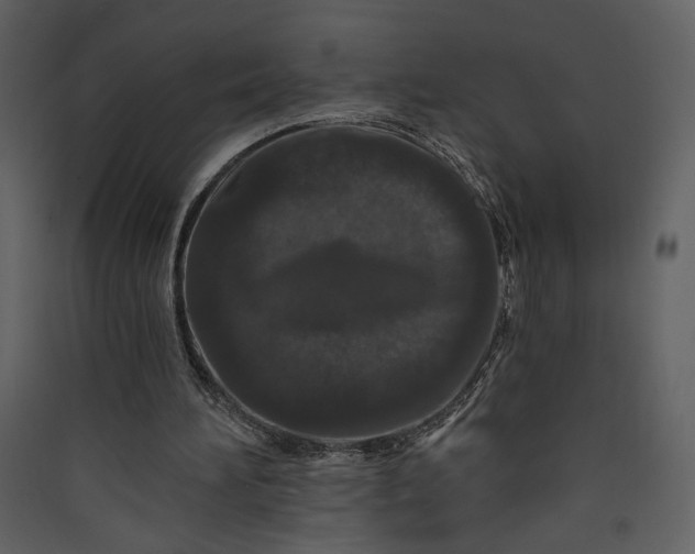 X0000089910196200707131356