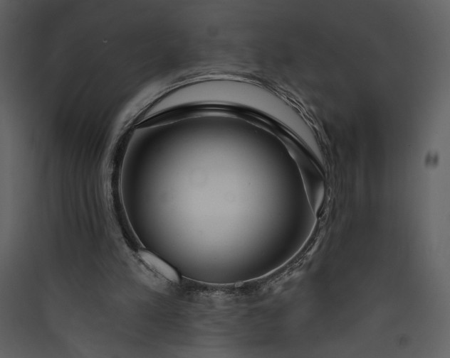 X0000089910197200707131356