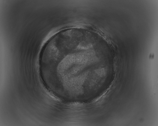 X0000089910198200707131356