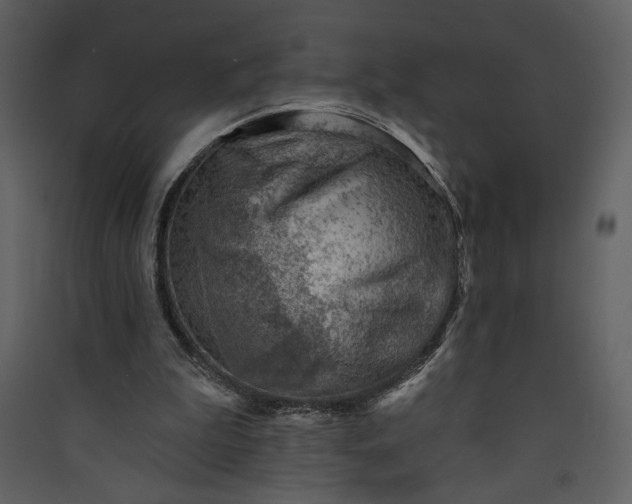 X0000089910199200707131356