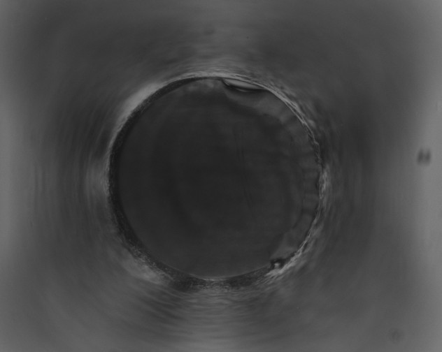 X0000089910200200707131356