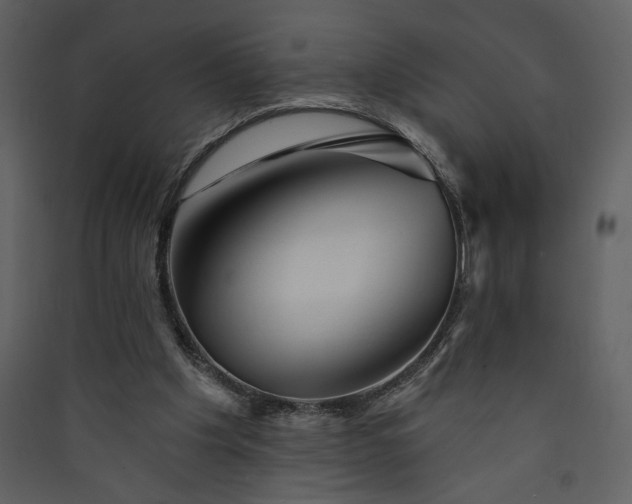 X0000089910201200707131356