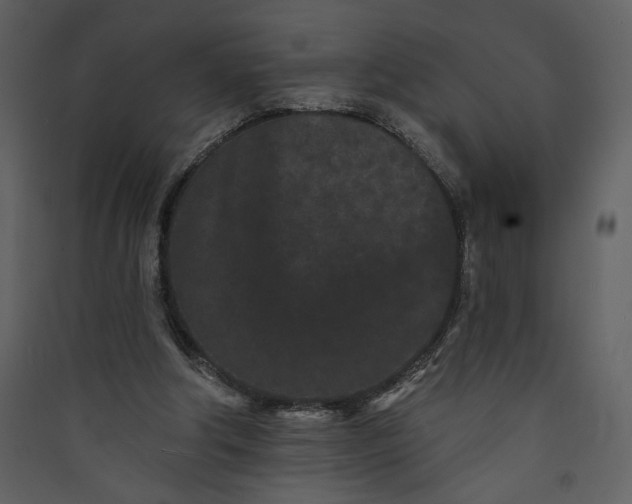 X0000089910202200707131356
