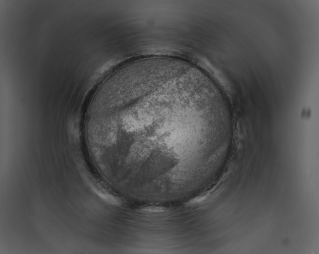 X0000089910203200707131356