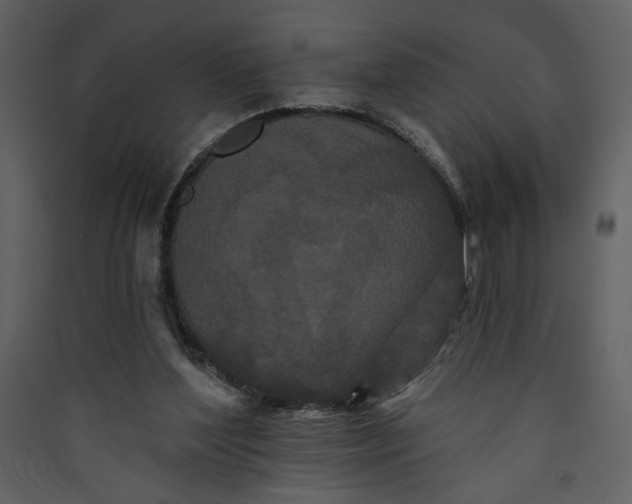 X0000089910204200707131356