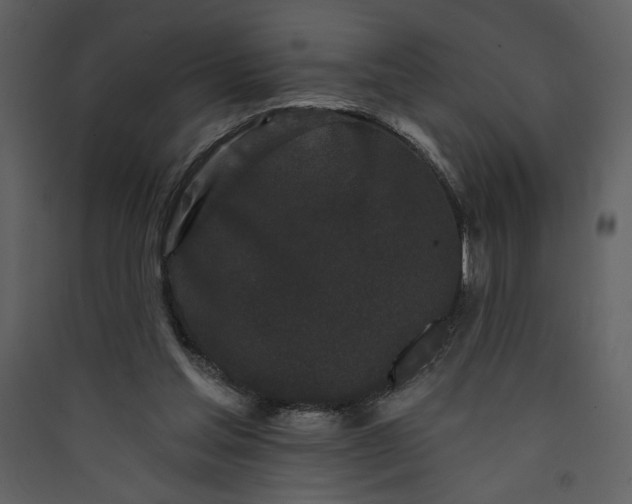 X0000089910205200707131356