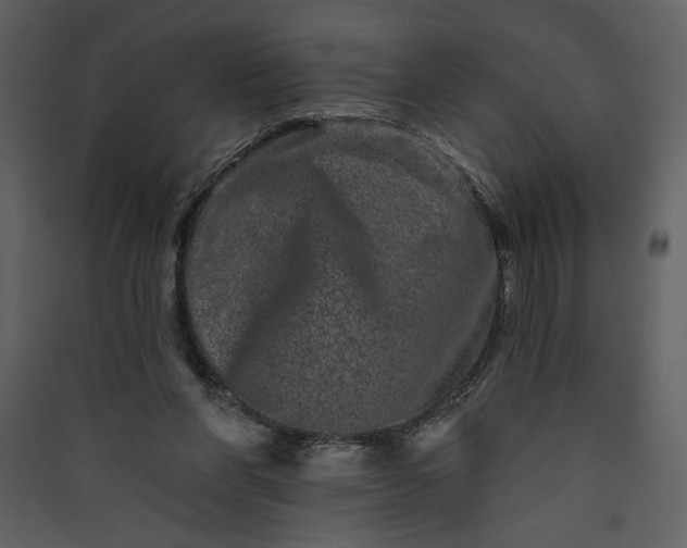 X0000089910206200707131356