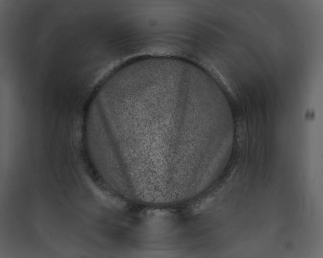X0000089910208200707131356