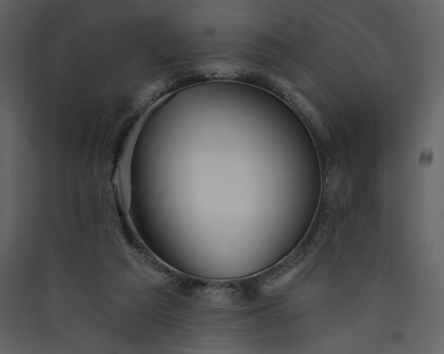 X0000089910209200707131356