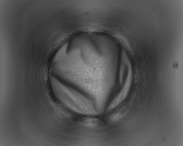 X0000089910210200707131356