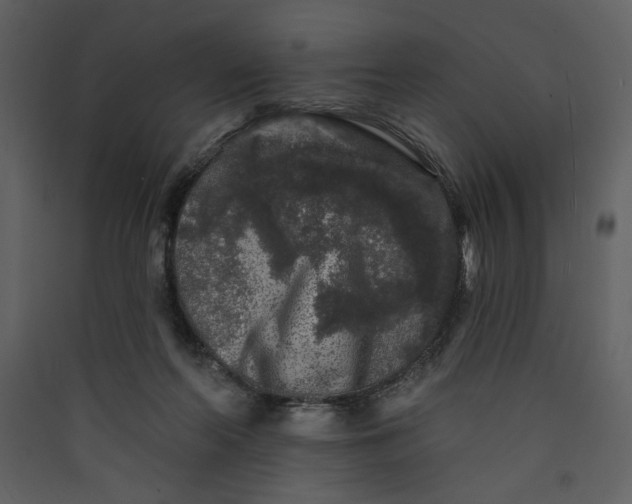X0000089910214200707131356