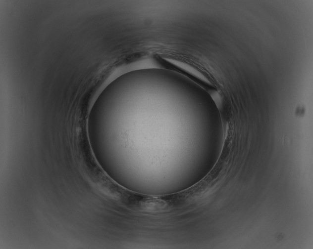 X0000089910215200707131356