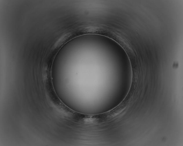X0000089910216200707131356