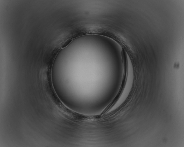 X0000089910217200707131356