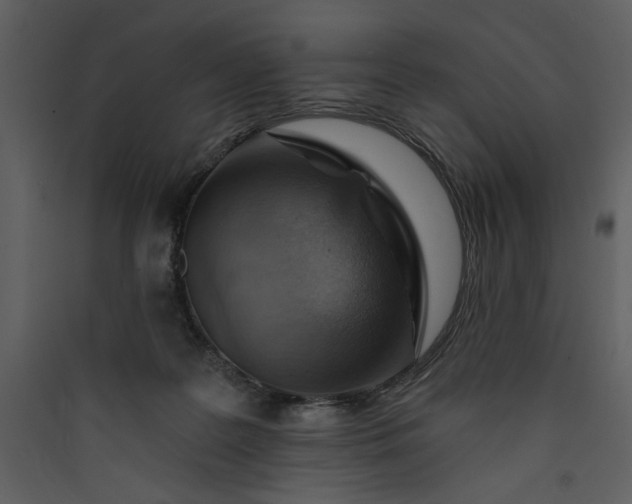 X0000089910219200707131356