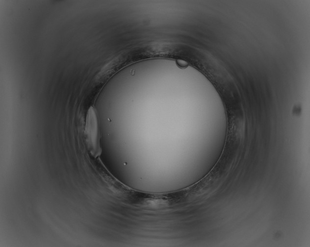 X0000089910220200707131356