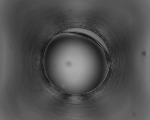 X0000089910221200707131356