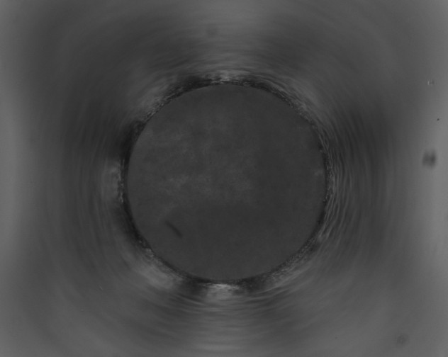 X0000089910222200707131356