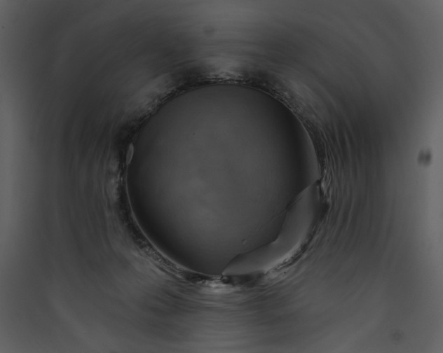 X0000089910223200707131356