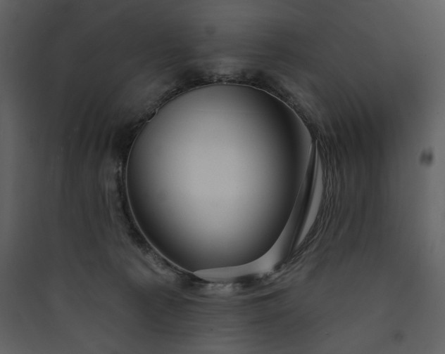 X0000089910225200707131356