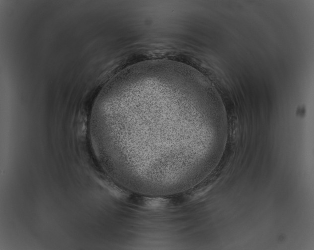 X0000089910226200707131356