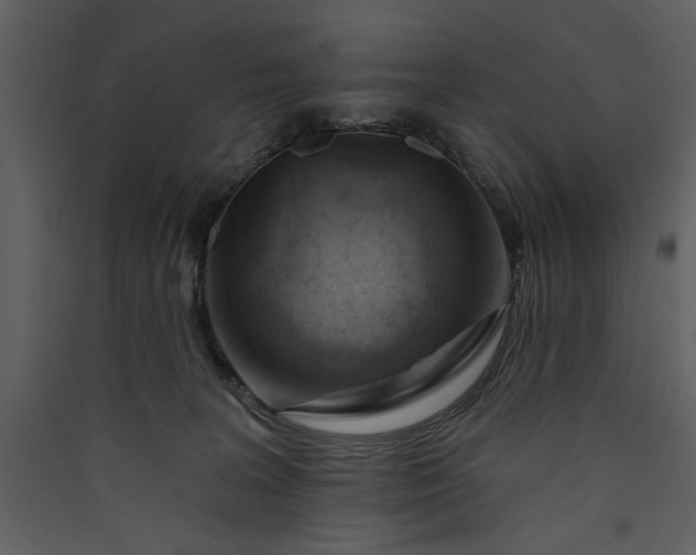 X0000089910227200707131356