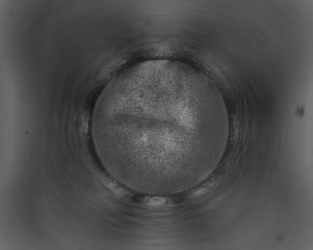 X0000089910230200707131356