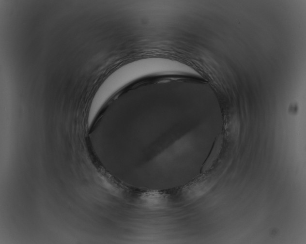 X0000089910231200707131356