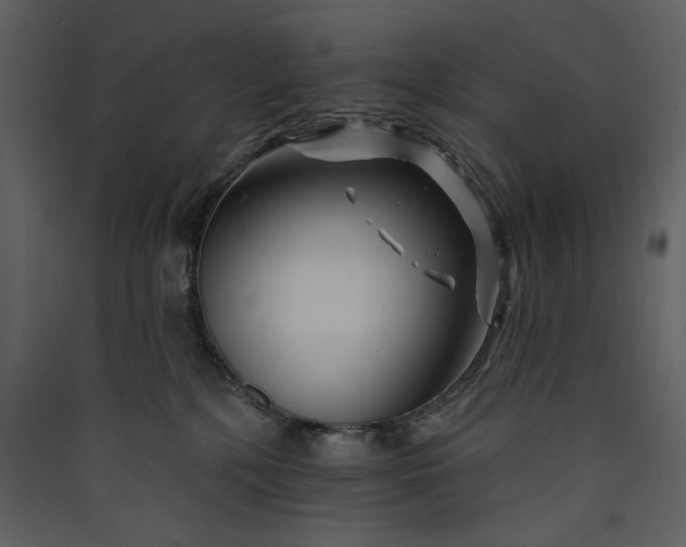 X0000089910232200707131356