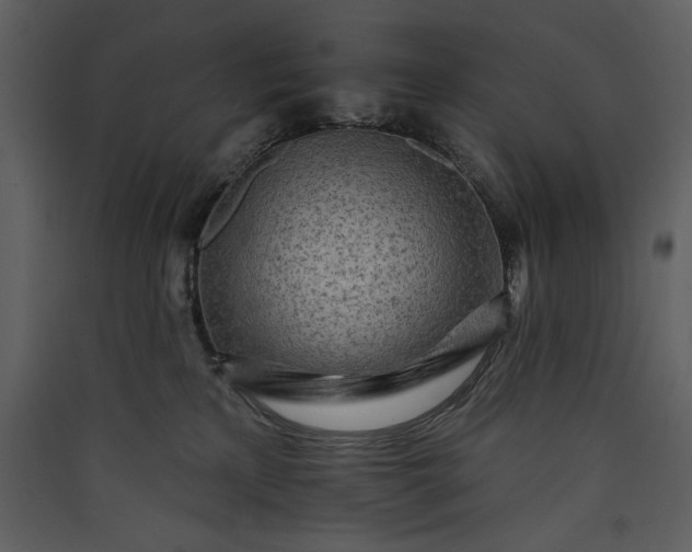 X0000089910233200707131356