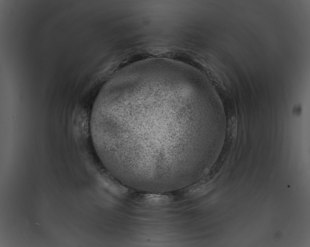 X0000089910234200707131356