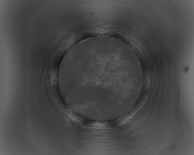 X0000089910236200707131355