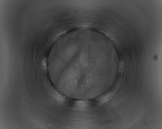 X0000089910238200707131355